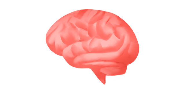 Human-brain-icon